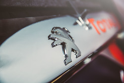 Détails du logo de la Peugeot 2008 DKR16