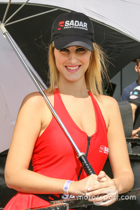 Paddock Girls Argentina Sadar