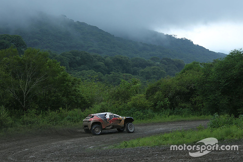 #303 Peugeot: Carlos Sainz, Lucas Cruz