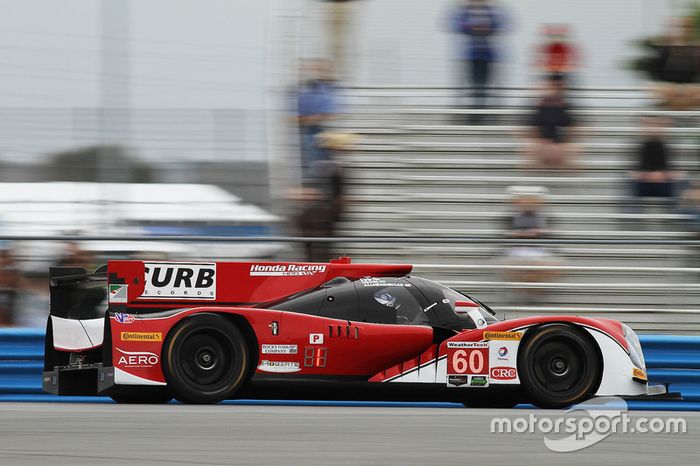 #60 Michael Shank Racing with Curb/Agajanian Ligier JS P2 Honda: John Pew, Oswaldo Negri, A.J. Allmendinger, Olivier Pla