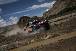 #314 Peugeot: Sèbastien Loeb, Daniel Elena