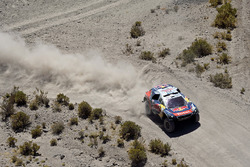#314 Peugeot : Sébastien Loeb, Daniel Elena