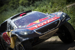 Сириль Депре и Давид Кастера, #321 Peugeot