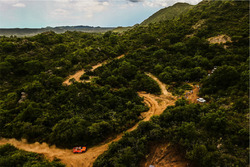 #312 Gordini: Robby Gordon, Kellon Walch
