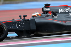 Stoffel Vandoorne, McLaren MP4-30