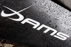 Dams Logo